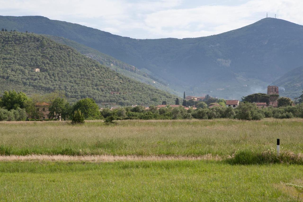 Agriturismo Villa Rosselmini Кальчі Екстер'єр фото